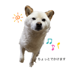 tomomi_20210509221358