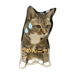 tomomi_20210509225511