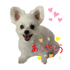 Mitsuki_20210509162038