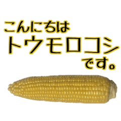 The summer of corn