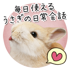 Rabbit's ordinary talk