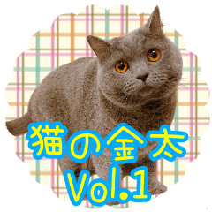 猫の金太　Vol.1