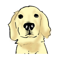 golden retriever and miniature dachshund