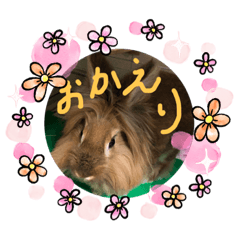 hana_20210509181516