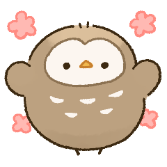 chubby owl(tw)