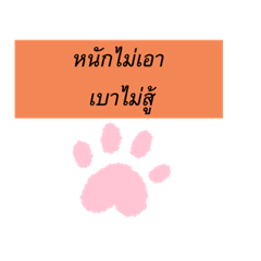 Ji_20210509135450