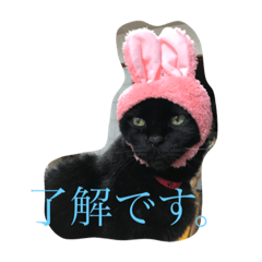 tomomi_20210510140851