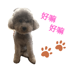 妮妮的寵愛貼圖