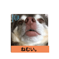 sally_20210510120351