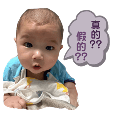 Viola_20210510134616 – LINE stickers | LINE STORE