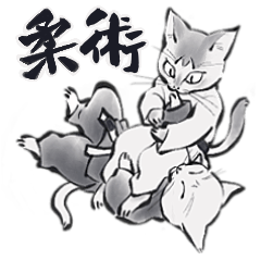Jiu-jitsu Cat