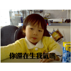 the chinese zodiac rabbit