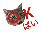 One word greeting by a cat named lagoon