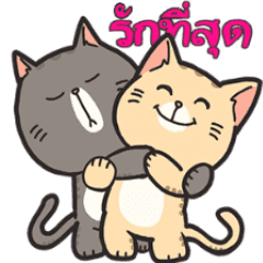บูกี้ แทมี่: คู่รักแมวป่วน
