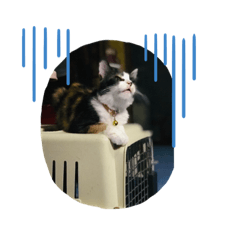 Kittima_20210510102440