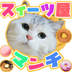 sweets cat