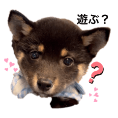 Himawari_20210510180517