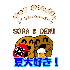 Toy poodle Sora and Demi I love summer!
