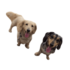 Nozomi_20210510150332