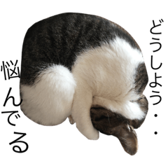 みるくのみぃ〜ちゃん。スタンプ