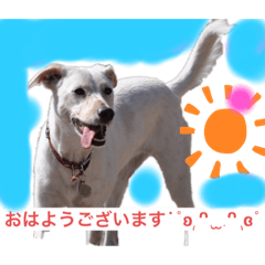 yanagi_20210510201834