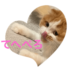 miki_20210510230807
