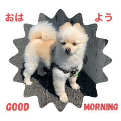 sunny's stamp part one