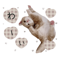 Munchkin ete2__coton sticker