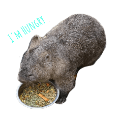 asuka_20210510195110