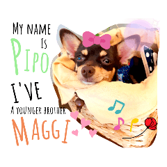 PIPO & MAGGI