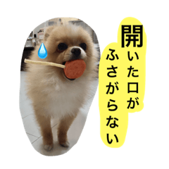 TAROKICHI1.