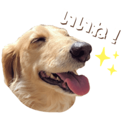 chris_20210511114541