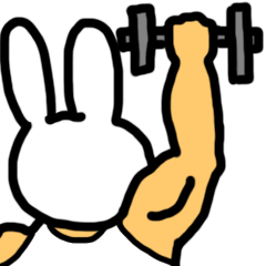 Workout Rabbit