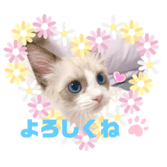 suzu_20210510223434