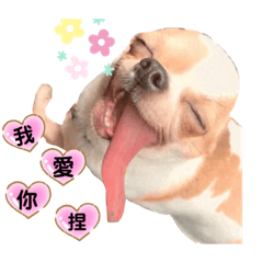 哈哈哈尼