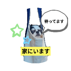 kaito_20210510230200