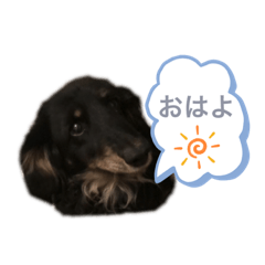 saya_20210510220314