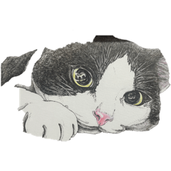 hide_20210510231606 – LINE stickers | LINE STORE