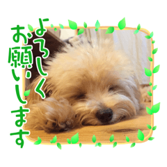 kenshin_20210510211250