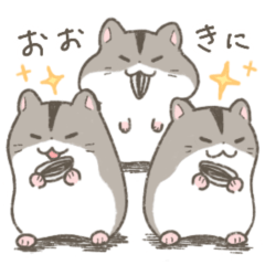 Hamsters from Kansai