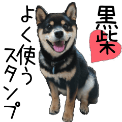 黒柴犬のリオ よく使うver Line スタンプ Line Store 黒柴犬のリオ よく使うver Line スタンプ Line Store