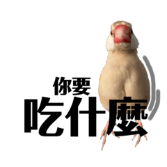 寫樂可可愛愛