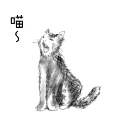 6B pencil sketch of cat