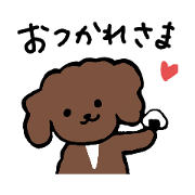 maltipoo brown