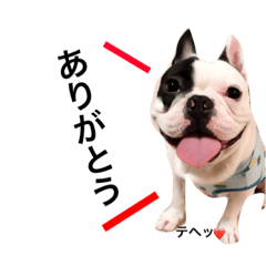 Frenchbulldog  mochio Sticker