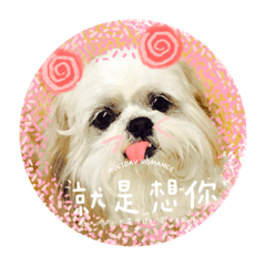 Nonoko_The Lovely Dog Chu-Chu2