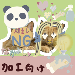 Sticker for decoration ! 2