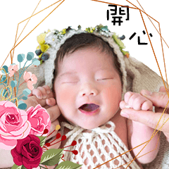 咪醬 生活用語篇