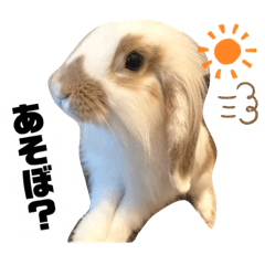 Nanami Ayabe_20210510230420