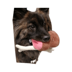 YUKARI_20210511165459